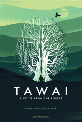 Tawai: A voice from the forest Wood Print