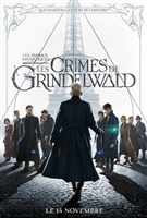 Fantastic Beasts: The Crimes of Grindelwald Mouse Pad 1586665
