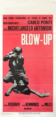 Blowup Metal Framed Poster