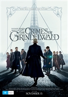 Fantastic Beasts: The Crimes of Grindelwald hoodie #1592140