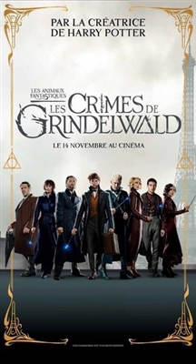 Fantastic Beasts: The Crimes of Grindelwald magic mug #