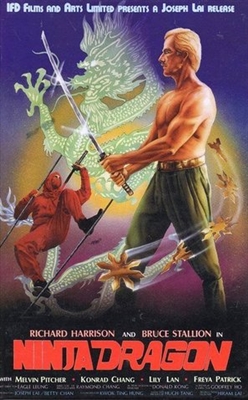 Ninja Dragon Wooden Framed Poster