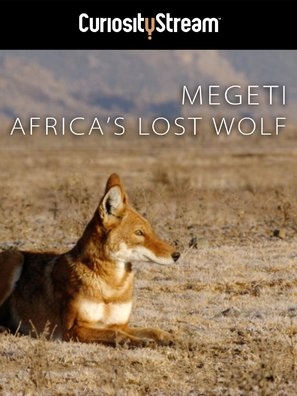 Africa's Lost Wolves Poster 1594683