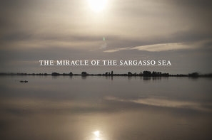 The Miracle of the Sargasso Sea pillow