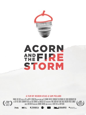 ACORN and the Firestorm poster