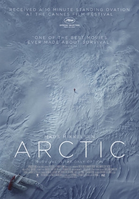 Arctic Canvas Poster