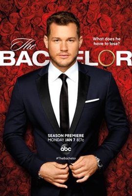 The Bachelor puzzle 1598987