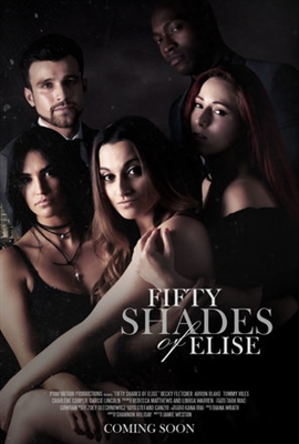 Darker Shades of Elise pillow