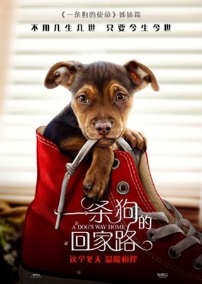 A Dog's Way Home poster #1604343
