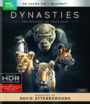 Dynasties mouse pad