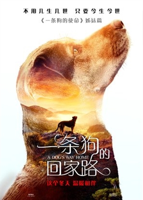 A Dog's Way Home poster #1604422