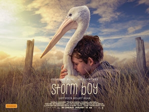 Storm Boy Poster with Hanger