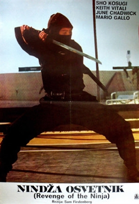 Revenge Of The Ninja Metal Framed Poster