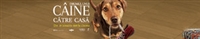 A Dog's Way Home #1611459 movie poster