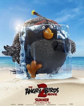 The Angry Birds Movie 2 Wood Print