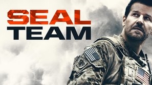 SEAL Team Metal Framed Poster