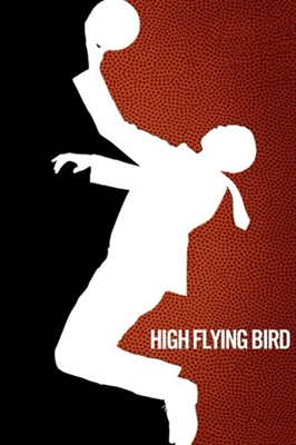 High Flying Bird Wooden Framed Poster
