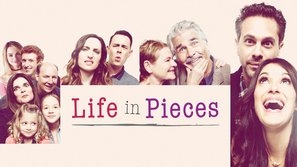 Life in Pieces Metal Framed Poster