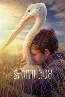 Storm Boy Canvas Poster