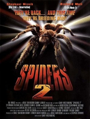 Spiders II: Breeding Ground pillow
