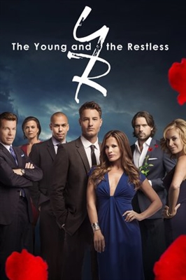 The Young and the Restless pillow