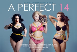 A Perfect 14 poster