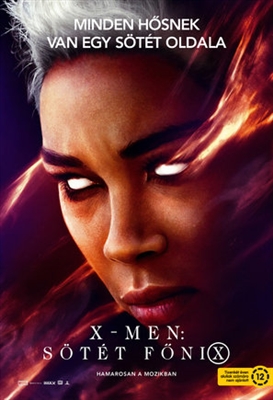 X-Men: Dark Phoenix puzzle 1621239