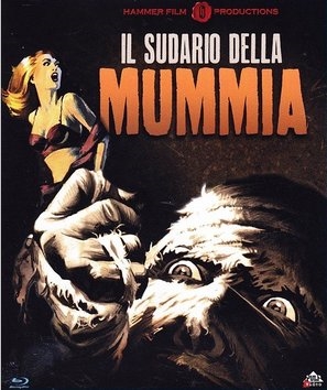 The Mummy's Shroud Metal Framed Poster