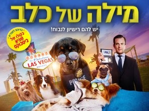 Show Dogs Poster 1629830