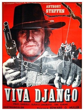 W Django! Wooden Framed Poster