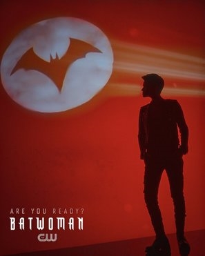 Batwoman Metal Framed Poster