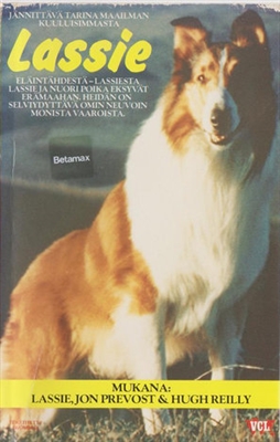 Lassie's Great Adventure Wooden Framed Poster