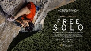 Free Solo Poster 1639376