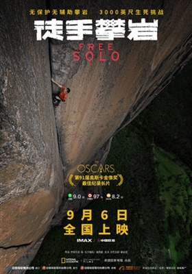 Free Solo Poster 1639380