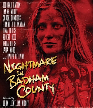 Nightmare in Badham County poster