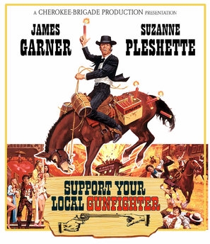 Support Your Local Gunfighter poster