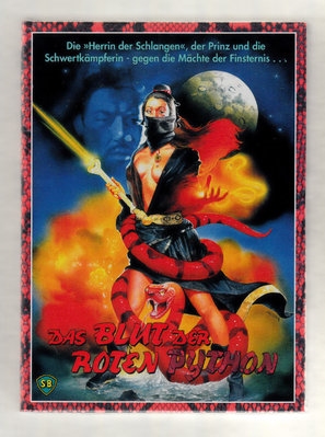 Tian long ba bu Canvas Poster