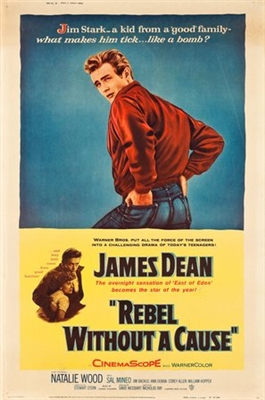 Rebel Without a Cause puzzle 1649325