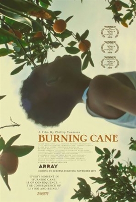 Burning Cane Poster with Hanger