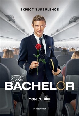 The Bachelor puzzle 1656465
