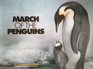 March Of The Penguins Stickers 1661823
