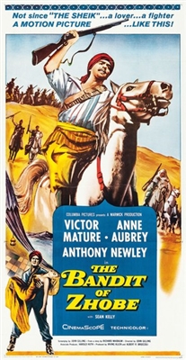 The Bandit of Zhobe poster