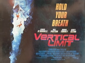 Vertical Limit Metal Framed Poster