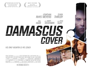 Damascus Cover pillow
