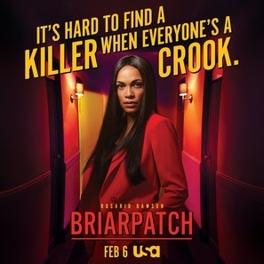 Briarpatch poster