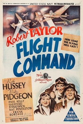 Flight Command pillow