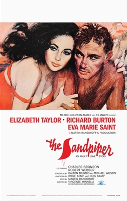 The Sandpiper Canvas Poster