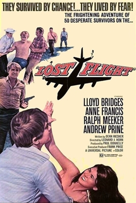 Lost Flight Metal Framed Poster