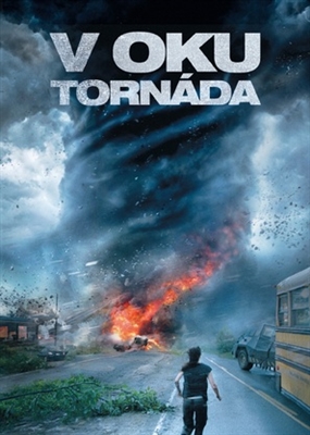 Into the Storm poster