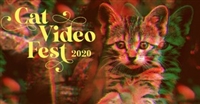 CatVideoFest 2020 mug #